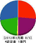 山川工務所 貸借対照表 2012年3月期