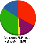 手塚設備 貸借対照表 2012年6月期
