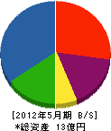 九州内田鍛工 貸借対照表 2012年5月期