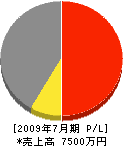 南日本マグネライン 損益計算書 2009年7月期