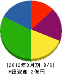 中澤電機 貸借対照表 2012年8月期