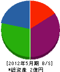 柳田産業 貸借対照表 2012年5月期