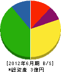 田村工業 貸借対照表 2012年6月期