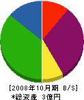遠藤工務店 貸借対照表 2008年10月期