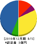角田電気工事 貸借対照表 2010年12月期