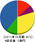 大澤組 貸借対照表 2011年10月期