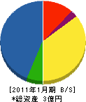 上田塗装工業 貸借対照表 2011年1月期