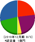 ヤマト地質調査 貸借対照表 2010年12月期
