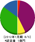 佐藤建築工務店 貸借対照表 2012年1月期