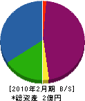 辻本開発 貸借対照表 2010年2月期