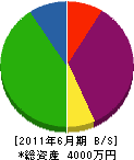 田中電気工事 貸借対照表 2011年6月期