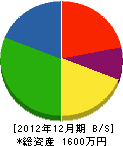渡辺電工 貸借対照表 2012年12月期