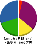大島塗装店 貸借対照表 2010年9月期
