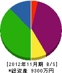 沖縄環境メンテナンス 貸借対照表 2012年11月期