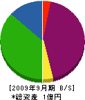 洋伸 貸借対照表 2009年9月期