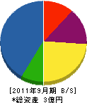 塚原建設 貸借対照表 2011年9月期