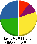 浜松冷機工業 貸借対照表 2012年3月期