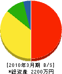長谷川電気 貸借対照表 2010年3月期