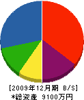 青野土建 貸借対照表 2009年12月期