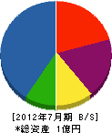 小見川建設 貸借対照表 2012年7月期