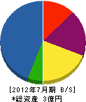 桧垣商会 貸借対照表 2012年7月期