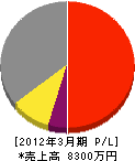 丸正吉田店 損益計算書 2012年3月期