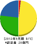 大塚工務店 貸借対照表 2012年9月期