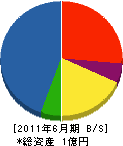 橋本組 貸借対照表 2011年6月期