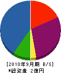 島田工務店 貸借対照表 2010年9月期