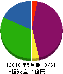 赤坂電工社 貸借対照表 2010年5月期