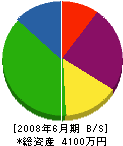 菅原工業所 貸借対照表 2008年6月期