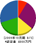 渡辺工業 貸借対照表 2009年10月期