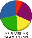 糸谷工務店 貸借対照表 2011年4月期