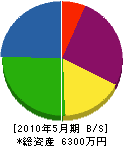 一栄電気工事店 貸借対照表 2010年5月期