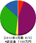 田口塗装店 貸借対照表 2012年3月期