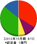 中ペン塗装店 貸借対照表 2012年10月期