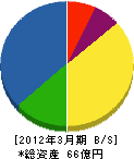 中電配電サポート 貸借対照表 2012年3月期