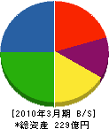 朝日航洋 貸借対照表 2010年3月期