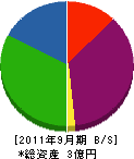 昭成 貸借対照表 2011年9月期