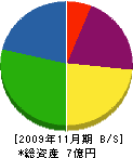 関西パブリック工業 貸借対照表 2009年11月期