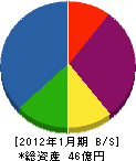 田中電気 貸借対照表 2012年1月期