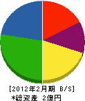 山澤 貸借対照表 2012年2月期