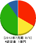松井工務店 貸借対照表 2012年7月期