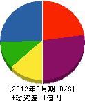 東川建設 貸借対照表 2012年9月期