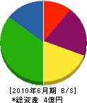 上野ガス 貸借対照表 2010年6月期