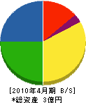 堀井商店 貸借対照表 2010年4月期