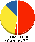 染矢塗装店 貸借対照表 2010年12月期