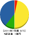 早川商会 貸借対照表 2011年7月期