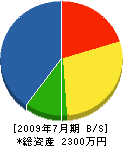 神戸造園 貸借対照表 2009年7月期
