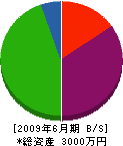 木村ブロック 貸借対照表 2009年6月期